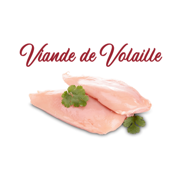 Viande de Volaille