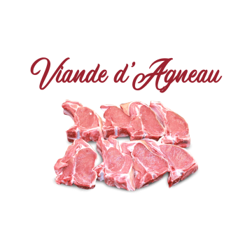 Viande d'Agneau